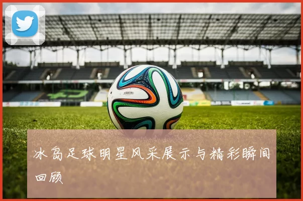 冰岛足球明星风采展示与精彩瞬间回顾