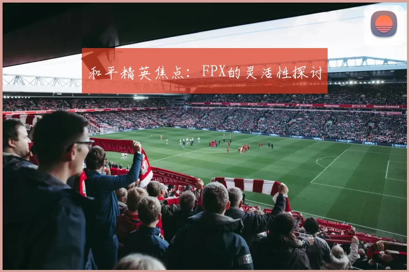 和平精英焦点：FPX的灵活性探讨