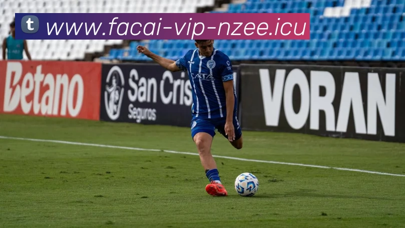 MK体育APP 封面图